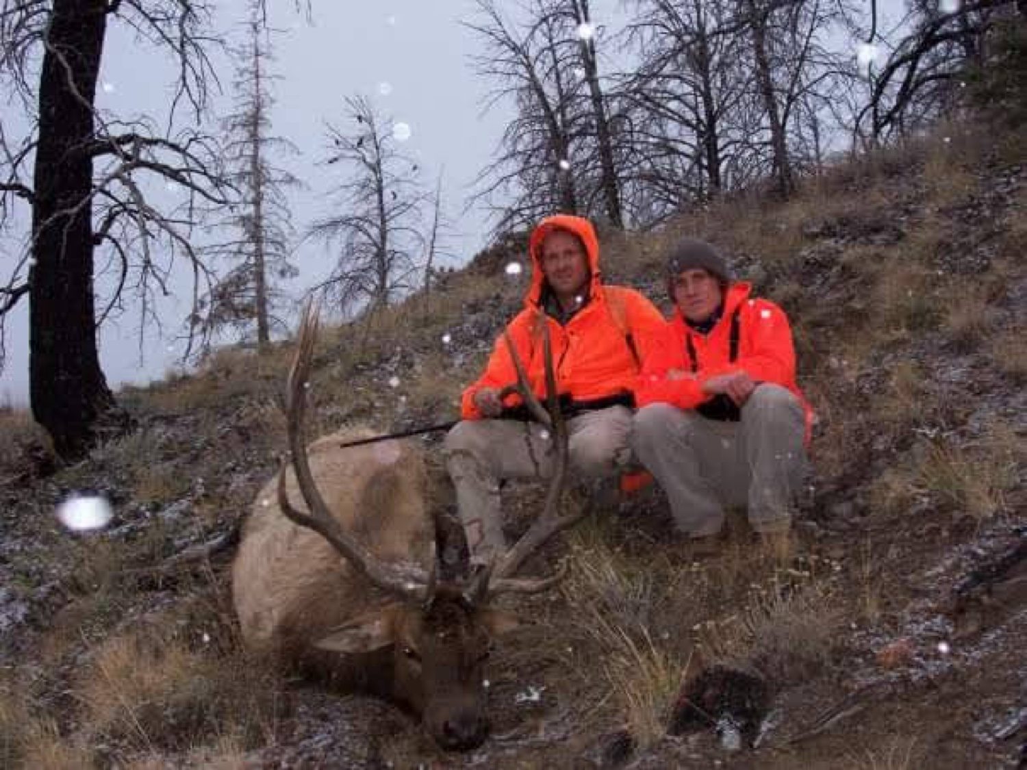An older family photo of two hunters in blaze orange with a bull elk in the snow